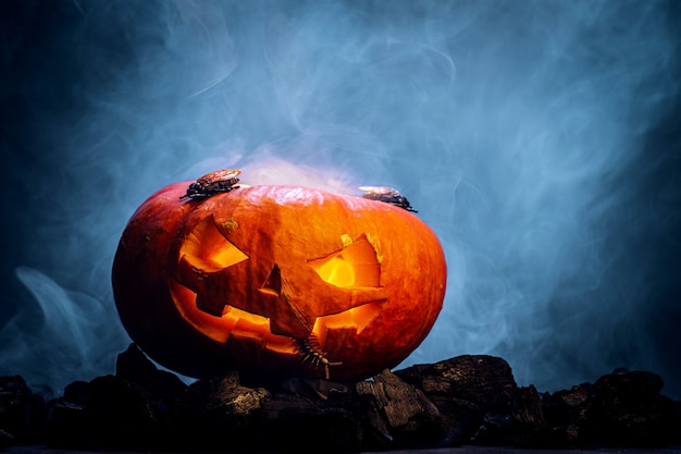 Citrouille en forme de crâne pour Halloween