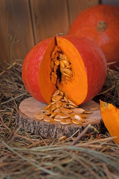 Citrouille fraîche allongée sur le foin