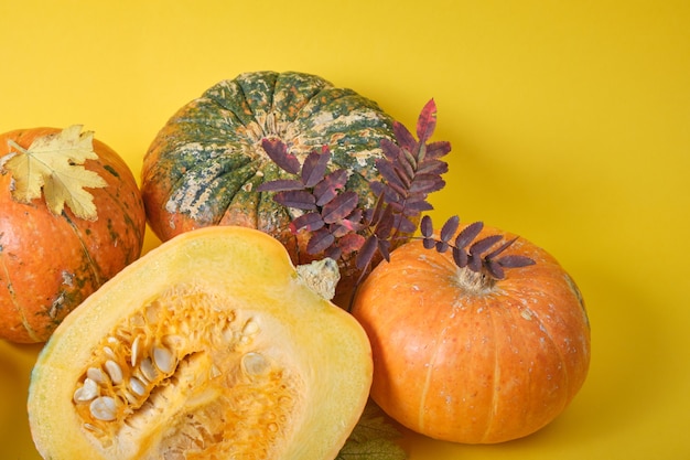 Citrouille fraîche sur fond jaune, citrouille coupée en deux et quelques citrouilles inhabituelles sur les feuilles d'automne jaunes