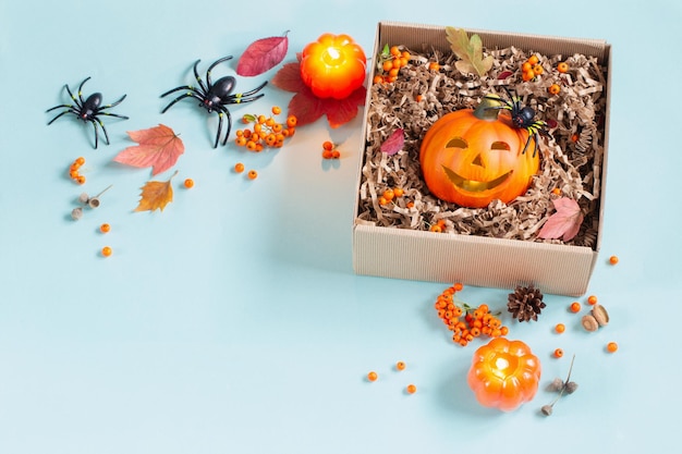 citrouille d'Halloween dans une boîte cadeau avec décor sur fond bleu