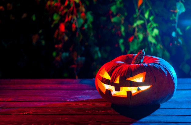 Citrouille D'halloween Dans Une Forêt Mystique La Nuit.