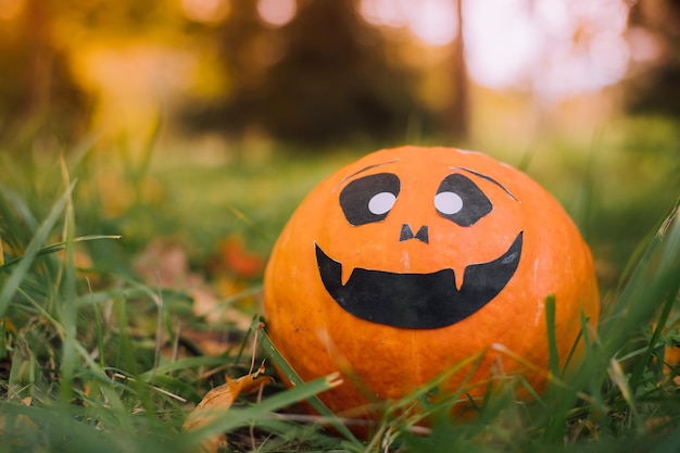 La citrouille d'Halloween de Jackie est allongée sur l'herbe Un article sur Halloween Une citrouille orange avec un visage Halloween