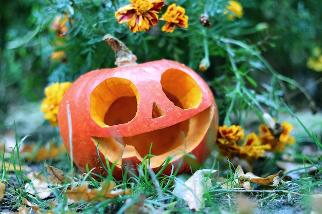 Photo citrouille d'halloween avec un joli visage