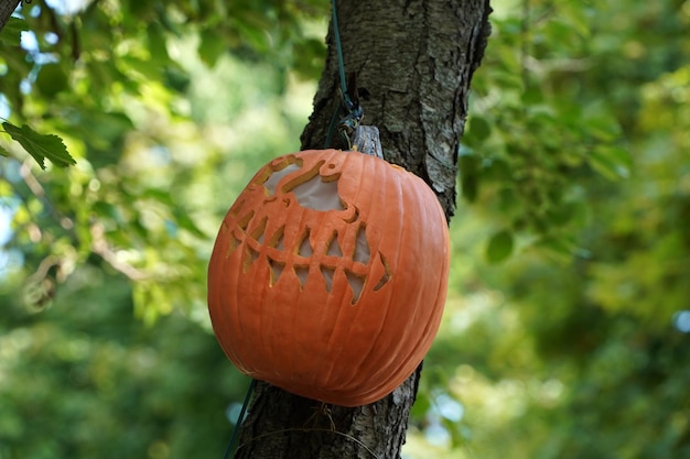 Citrouille d'Halloween sculptée suspendue à un arbre