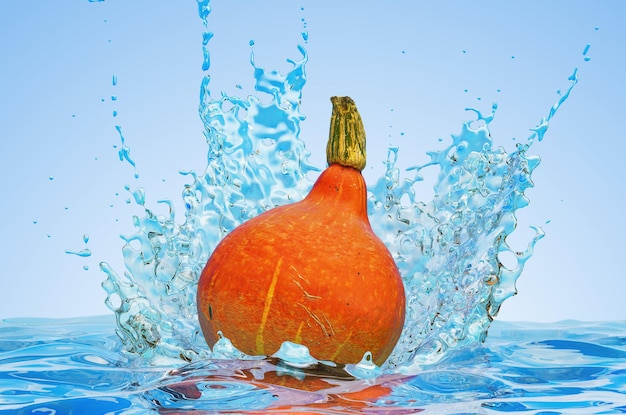 Citrouille d'Hokkaido avec de l'eau éclabousse le rendu 3D