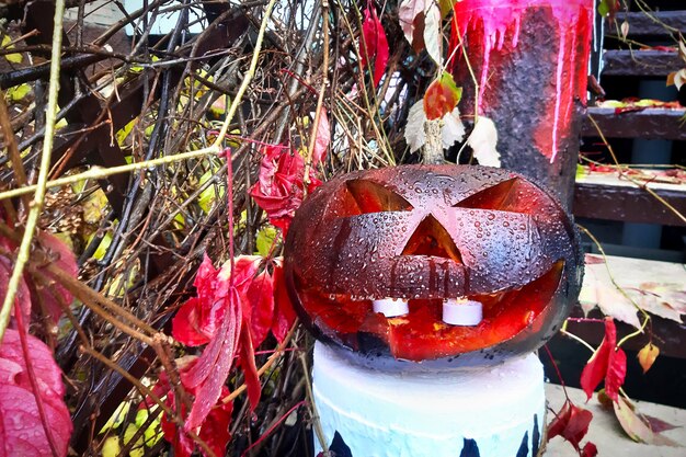 Une citrouille Jack-o-Lantern noire avec ses yeux et sa bouche découpés sur un piédestal se dresse sur les marches de la maison. Vacances d'automne Halloween. Une clôture faite de branches avec des feuilles rouges sèches