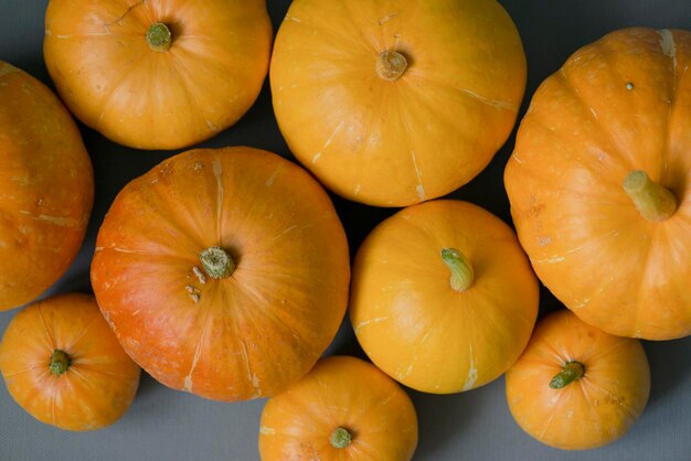 Citrouille de légumes sur fond gris