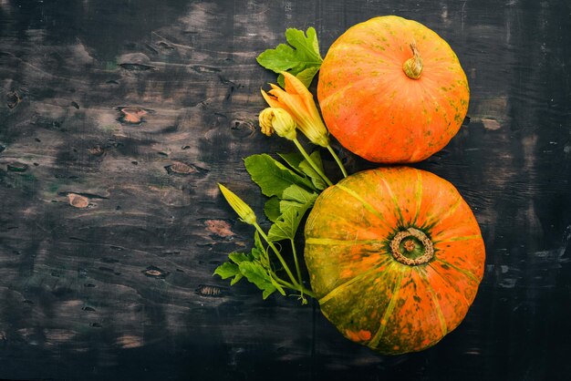 Citrouille Légumes frais Sur fond noir Espace libre pour le texte Vue de dessus