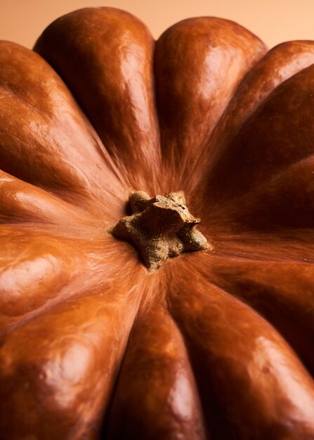 Citrouille mûre entière close up fond orange