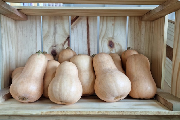 Citrouille musquée dans une boîte en bois