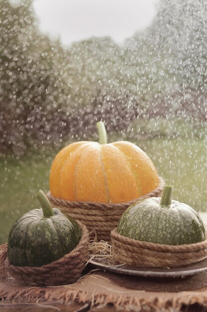 Une citrouille orange et deux citrouilles vertes sur la table en bois décorée de toile de jute et de corde. Sous la pluie. En plein air.