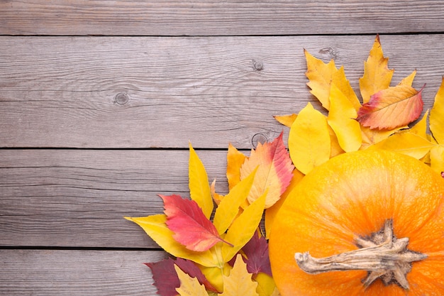 Citrouille orange avec des feuilles sur un fond gris.