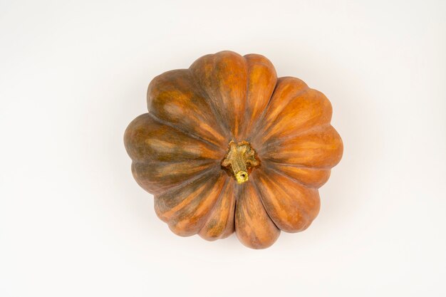 Citrouille orange fraîche isolée sur fond blanc. Décoration de vacances d'octobre. Récolte naturelle.