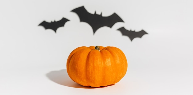 Citrouille orange mûre fraîche sur fond blanc. Espace avec le concept d'Halloween de chauves-souris