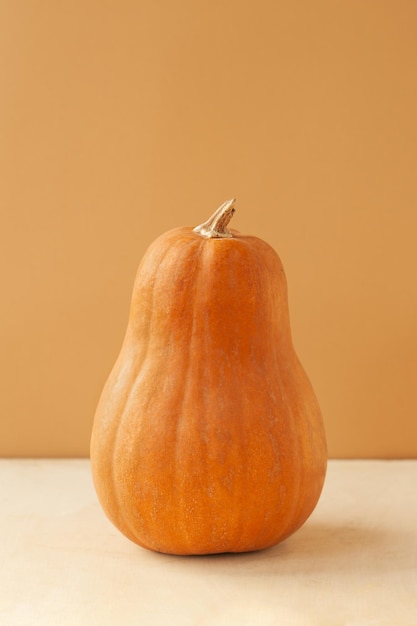 citrouille ovale de la variété matilda sur un fond beige monochrome tendance au minimalisme alimentaire