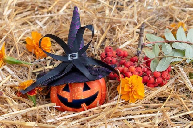 Citrouille portant un chapeau de sorcière pour les vacances d'Halloween Head jack lanternComposition sur paille avec baies de rowan et fleurs de souci