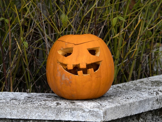 Citrouille sculptée naturelle d'Halloween