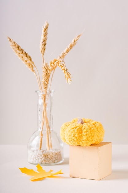 Citrouille tricotée sur un cube et des oreilles dans une bouteille sur un fond clair Décoration d'automne verticale