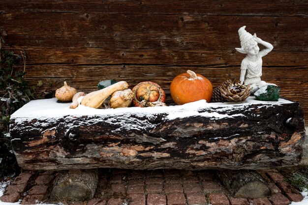 citrouilles allongées sur une bûche de bois recouverte de neige