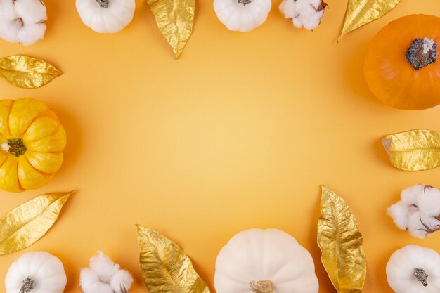 Photo citrouilles anciennes blanches et orange avec fleur de coton