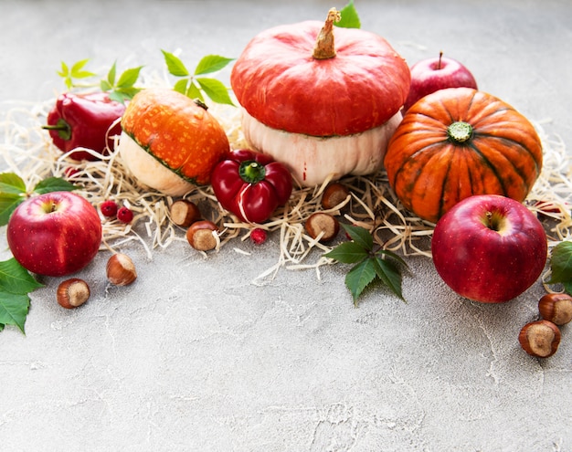 Citrouilles d&#39;automne colorées sur un fond de béton