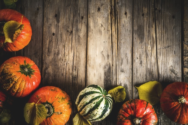 Citrouilles d'automne dans une table