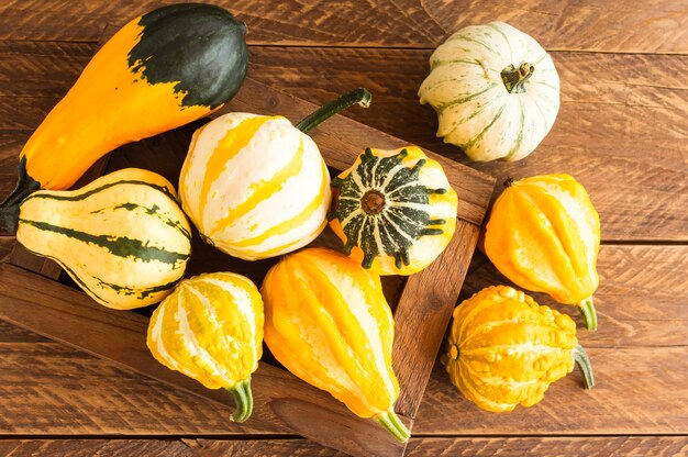 Citrouilles d'automne décoratives dans une boîte en bois sur la table du village. vue de dessus.