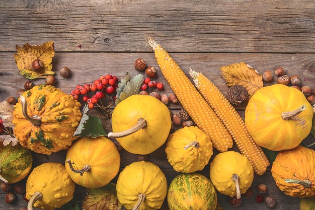 Citrouilles d'automne avec des feuilles et du maïs