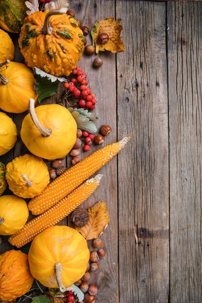 Citrouilles d'automne avec des feuilles et du maïs