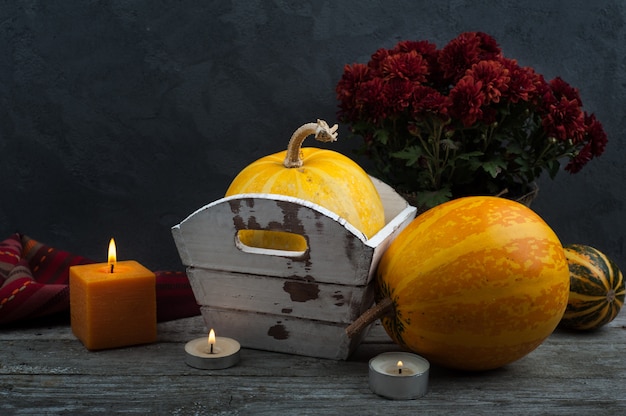 Citrouilles d'automne sur fond minable