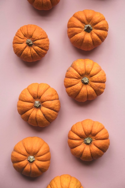 Citrouilles d'automne sur fond rose pastel