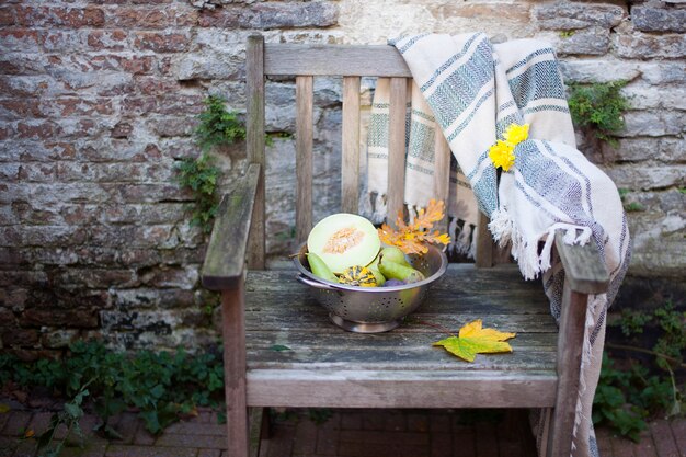 Citrouilles d'automne et melons sur une vieille chaise en bois, récolte dans le jardin.