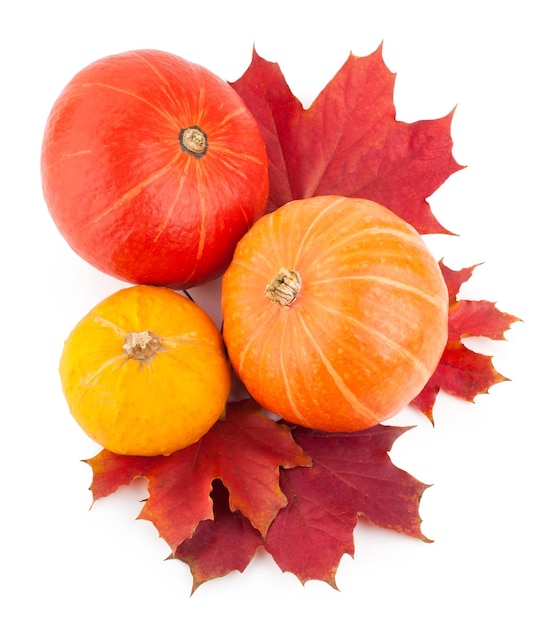 Photo citrouilles aux feuilles d'automne