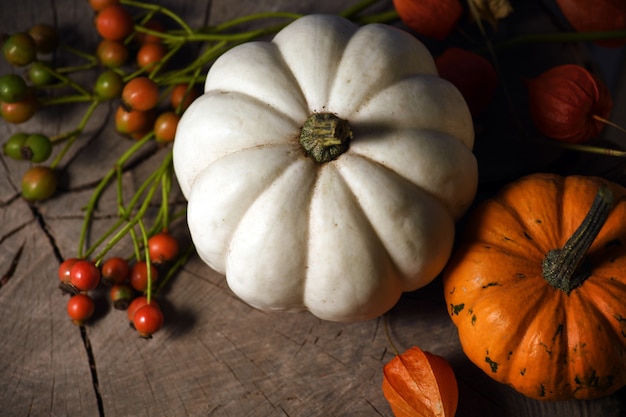 Citrouilles aux fruits rouges