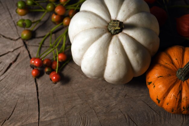 Citrouilles aux fruits rouges