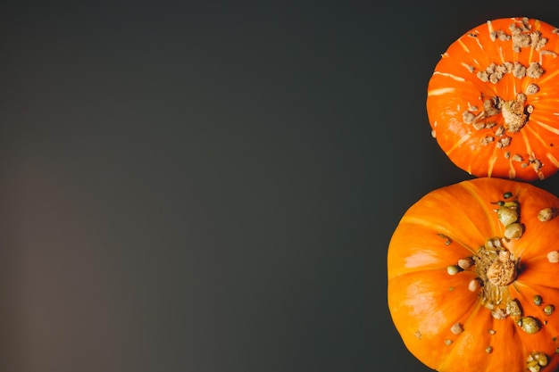 Des citrouilles avec de beaux motifs et des motifs naturels peuvent être utilisées pour Halloween c'est vraiment charmant