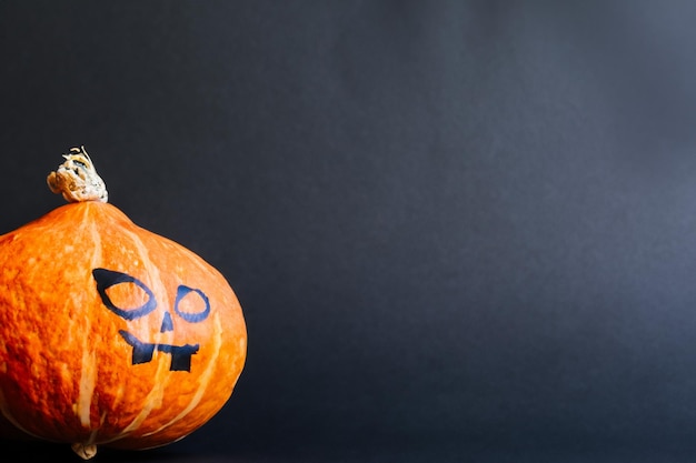 Des citrouilles avec de beaux motifs et des motifs naturels peuvent être utilisées pour Halloween c'est vraiment charmant