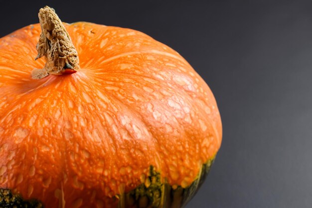 Des citrouilles avec de beaux motifs et des motifs naturels peuvent être utilisées pour Halloween c'est vraiment charmant