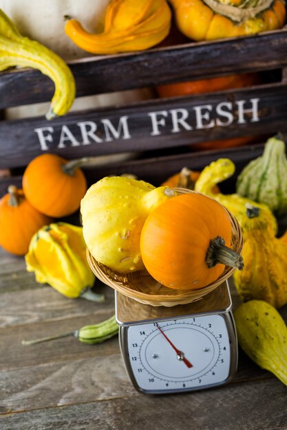 Citrouilles biologiques fraîches du marché de producteurs locaux.