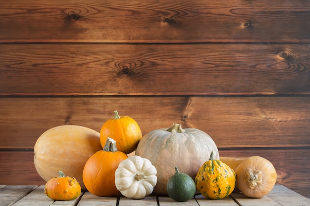 Citrouilles, sur, bois, chambre