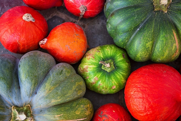 Citrouilles colorées d'automne pour la vue de dessus d'halloween