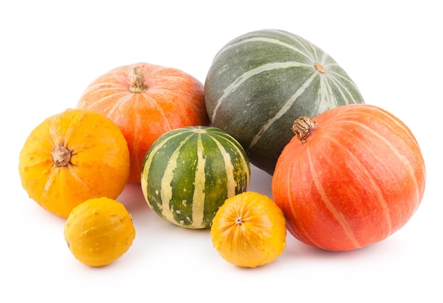 Citrouilles colorées