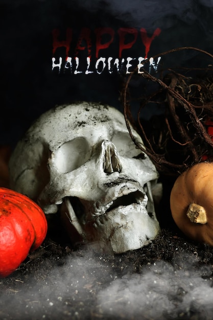 Citrouilles de crâne humain d'Halloween et racines de plantes sur fond sombre