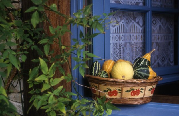 Photo des citrouilles dans un panier sur la fenêtre