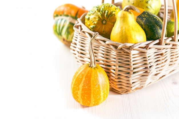 Citrouilles dans le panier