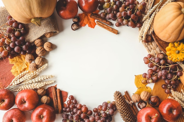 Citrouilles et décorations d'automne colorées sur fond blanc