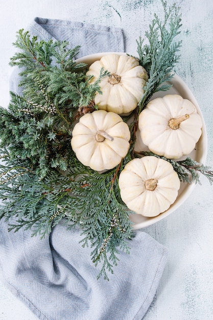 Citrouilles décoratives blanches