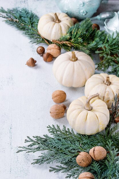 Citrouilles décoratives blanches