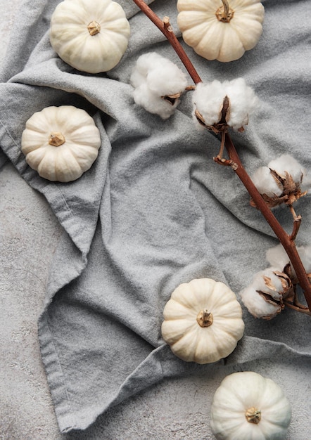 Citrouilles décoratives blanches