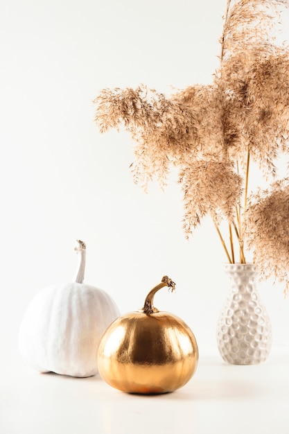 Citrouilles décoratives dorées et blanches sur fond clair avec de l'herbe pampas